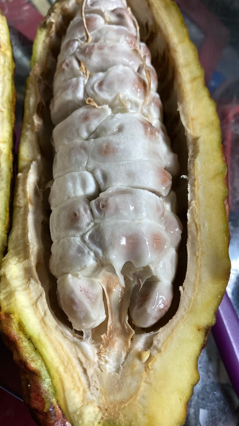 Customer photo review of Kakaofrucht naturbelassen