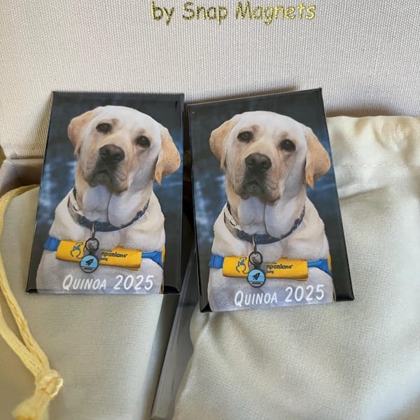 Customer photo review of Save The Date Magnets