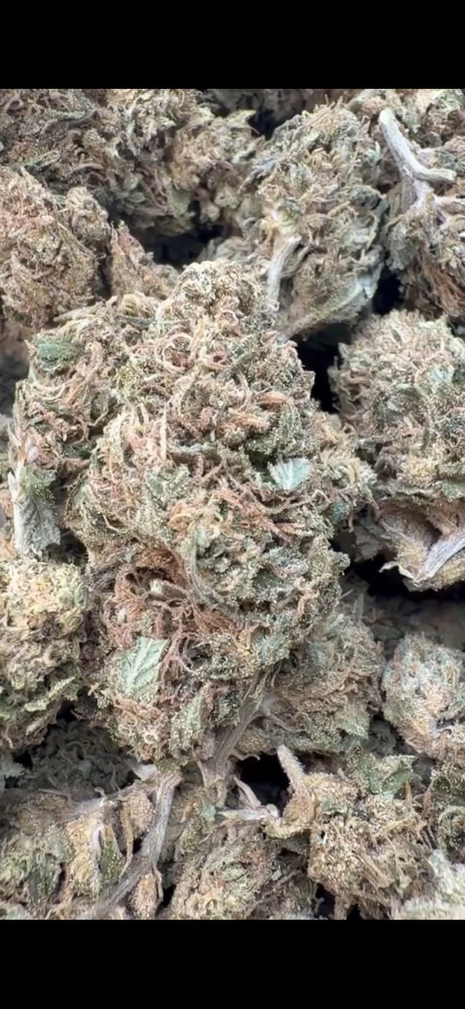 Customer photo review of Maui Wowie - Bulk - Sativa