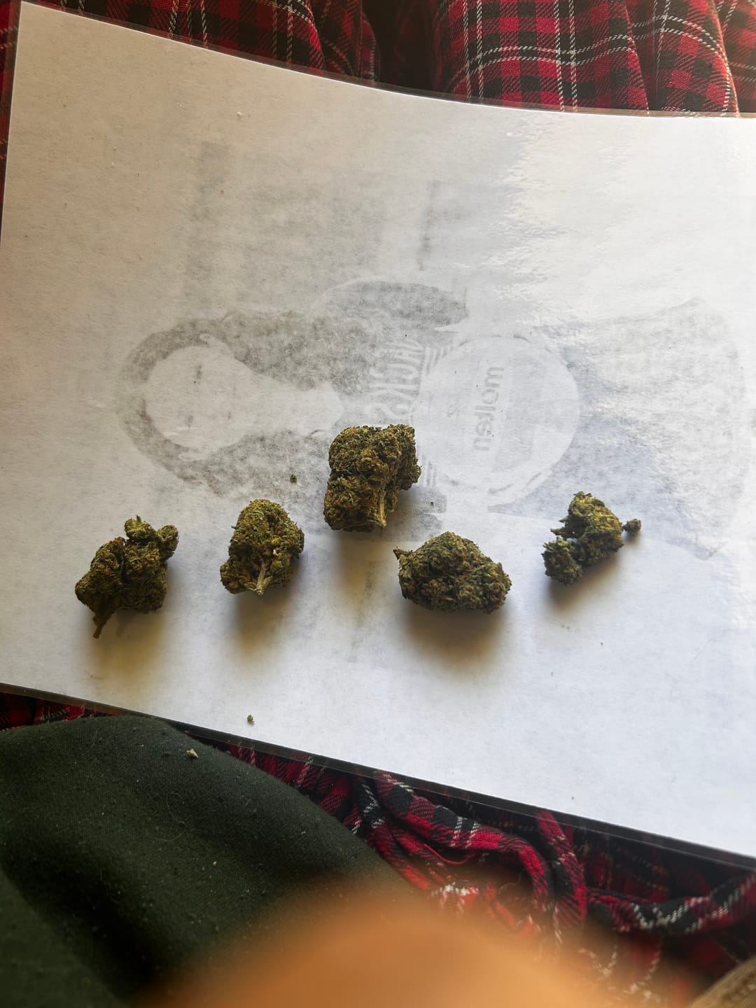 Customer photo review of Acapulco Gold