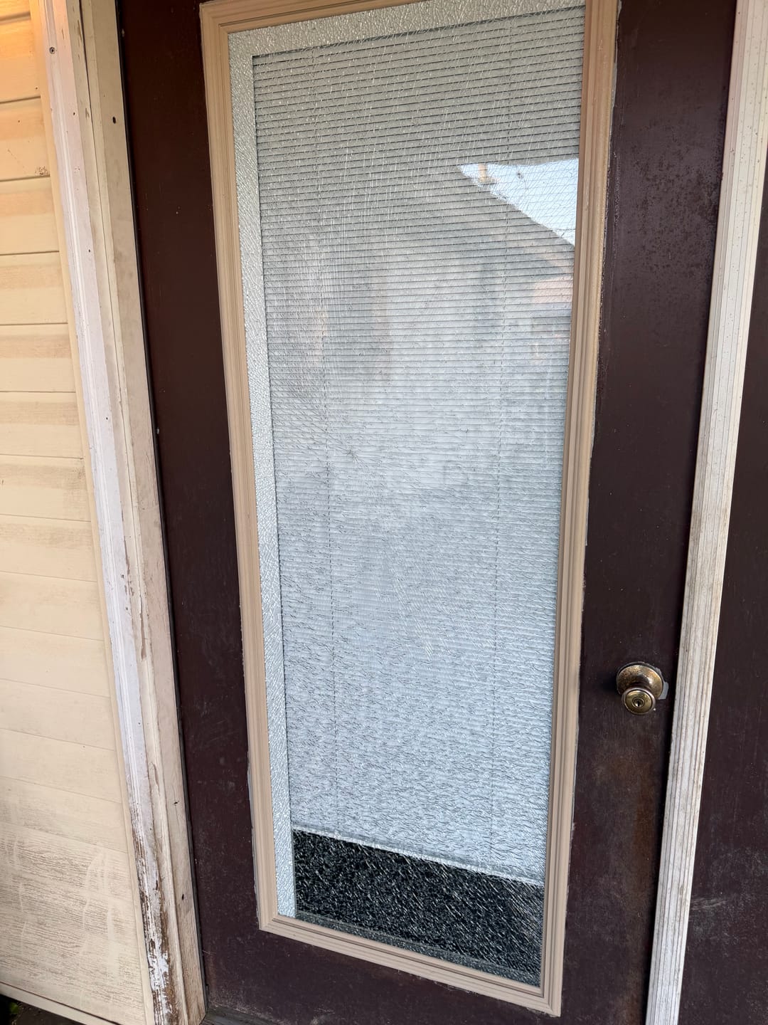Customer photo review of Raise & Lower Blinds Glass and Frame Kit (Full Lite)