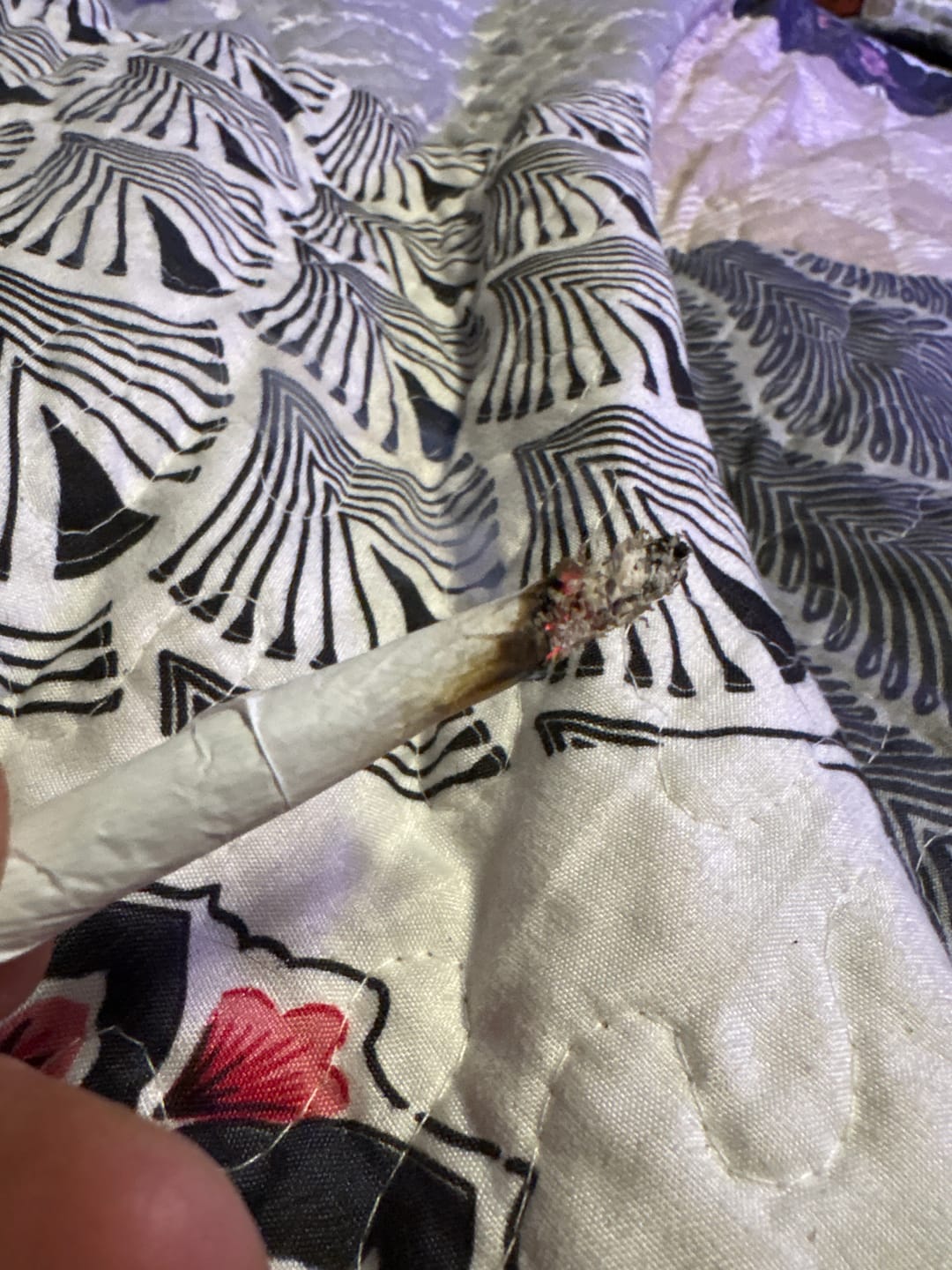 Customer photo review of Blue Dream - 4 Grams - Sativa