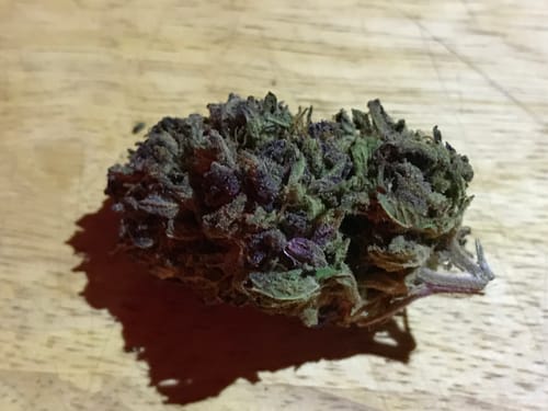 Customer photo review of THCA Queen