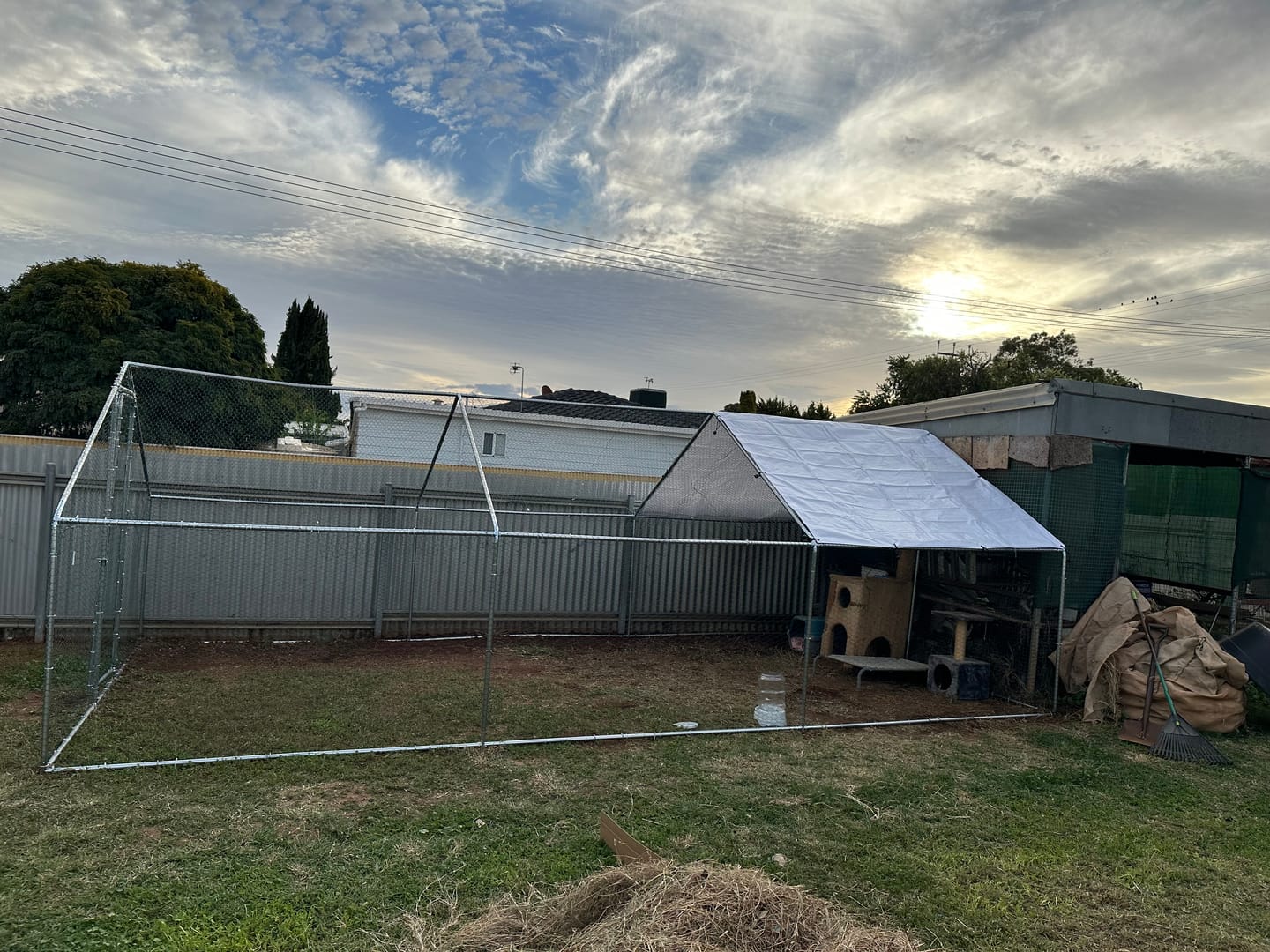 Customer photo review of Outdoor Cat Run Enclosure Large 6M