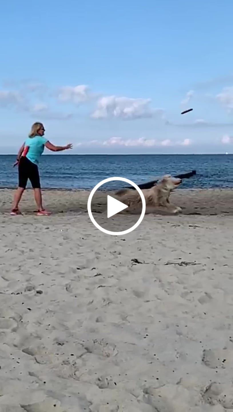 Customer video review of Wurmtest Plus Hund