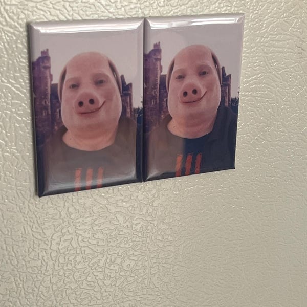 Customer photo review of Fridge Photo Magnets