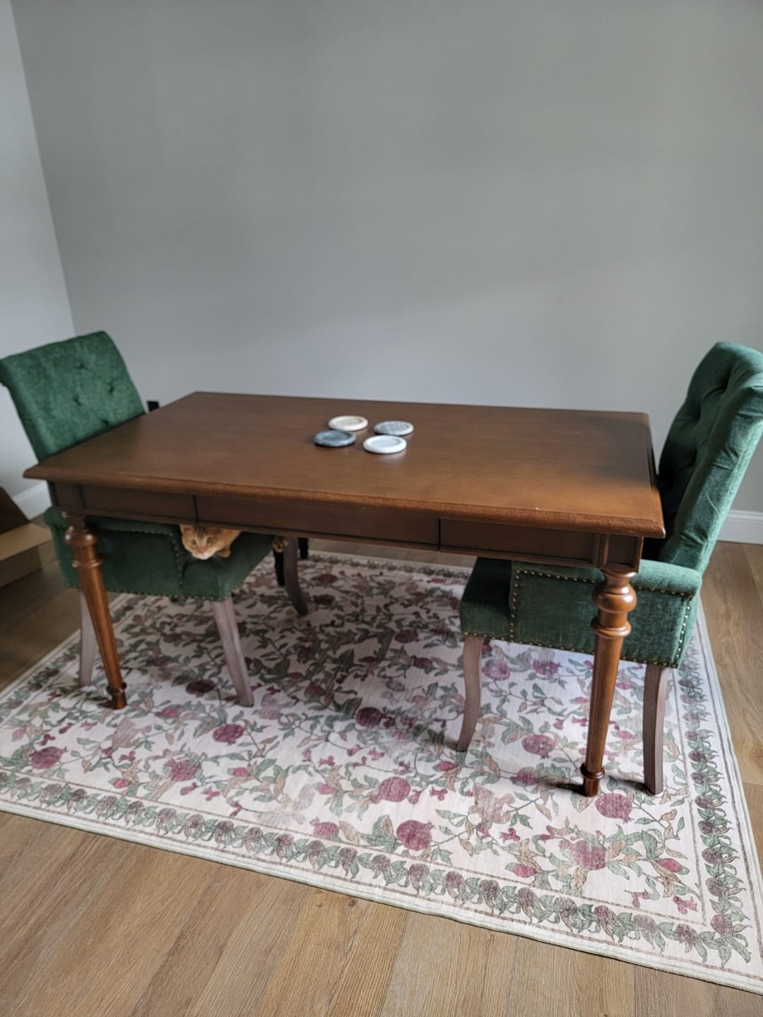 Customer photo review of Vintage Pomegranate Foliage Rug