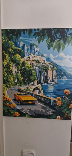 תמונת ביקורת של לקוח/ה מציגה את הציור הגמור מערכת 'צביעה לפי מספרים' כשהוא תלוי על קיר.