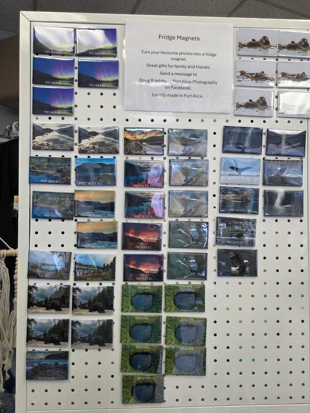 Customer photo review of Refill – 1000 Sets Fmcraft Cardboard Photo Magnet Materials