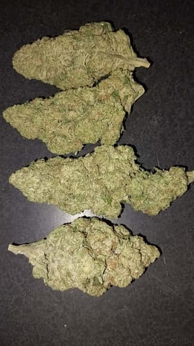 Customer photo review of Cheap THCA Flower Half Pound