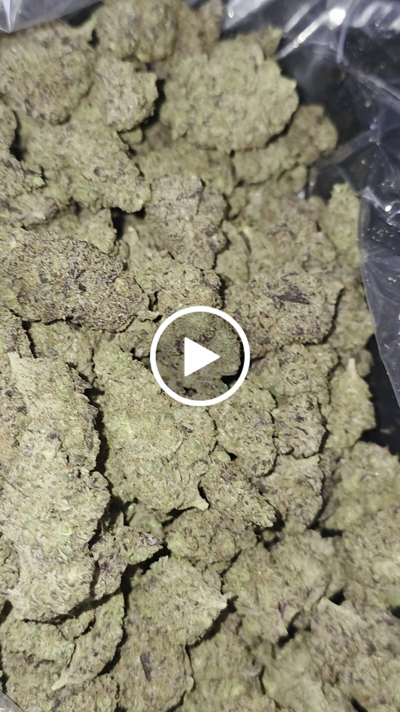Customer video review of Icy Pop Indoor - Bulk - Hybrid