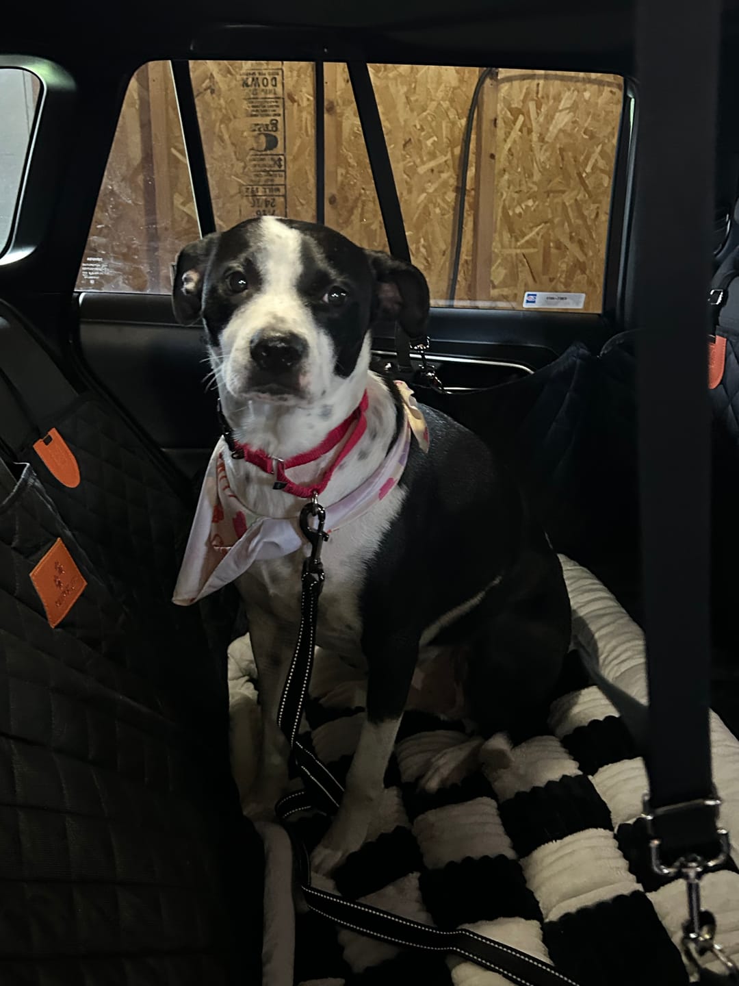 Customer photo review of CozyRider™ 2.0