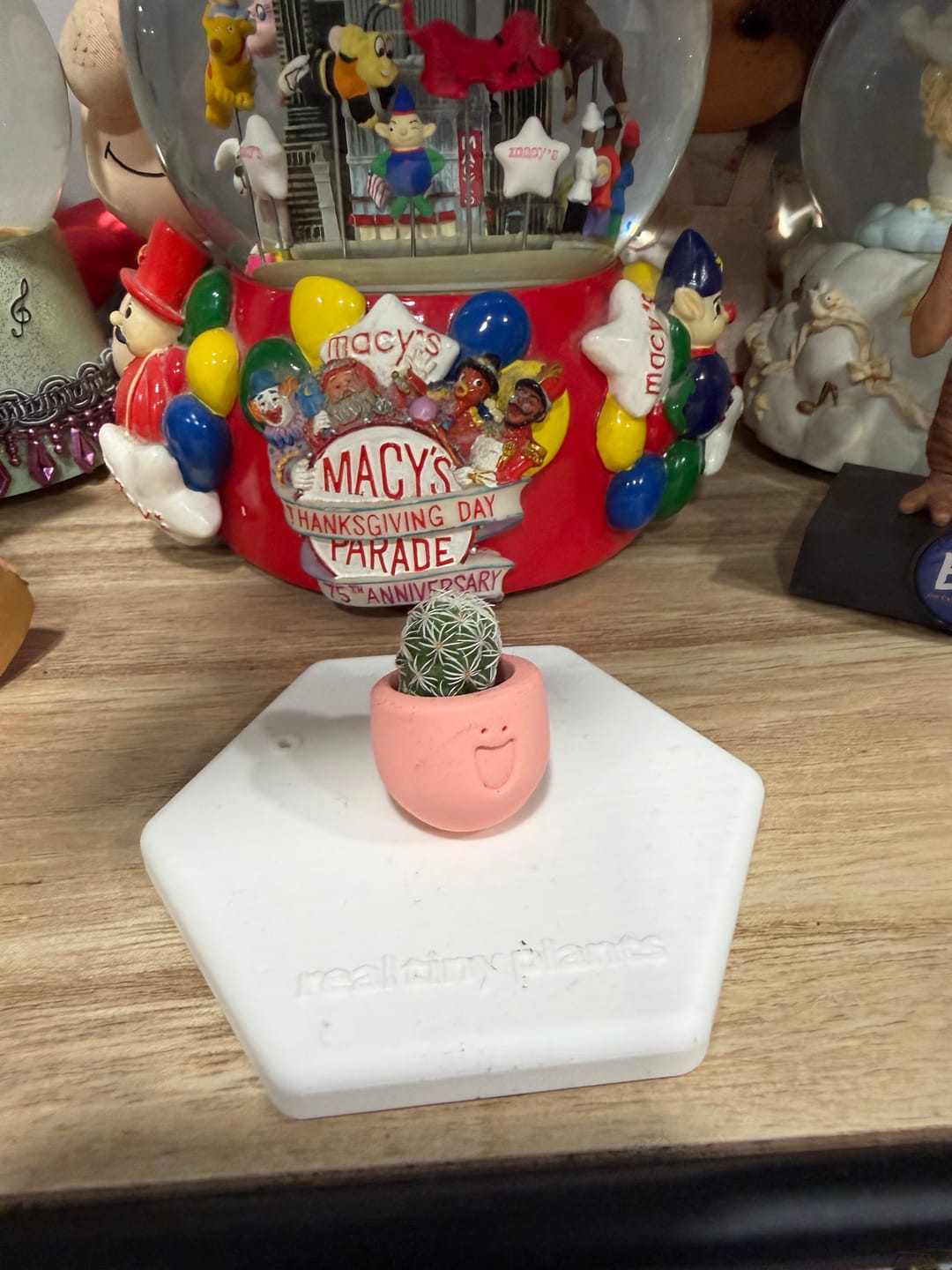 Customer photo review of LOL