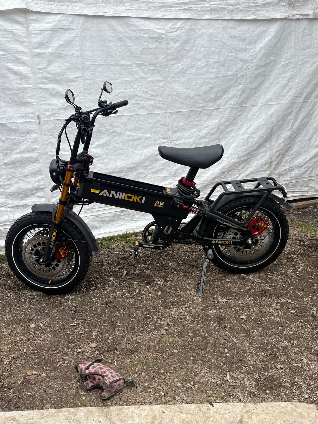 Customer photo review of ANIIOKI A8 Pro Max Dual Motor eBike