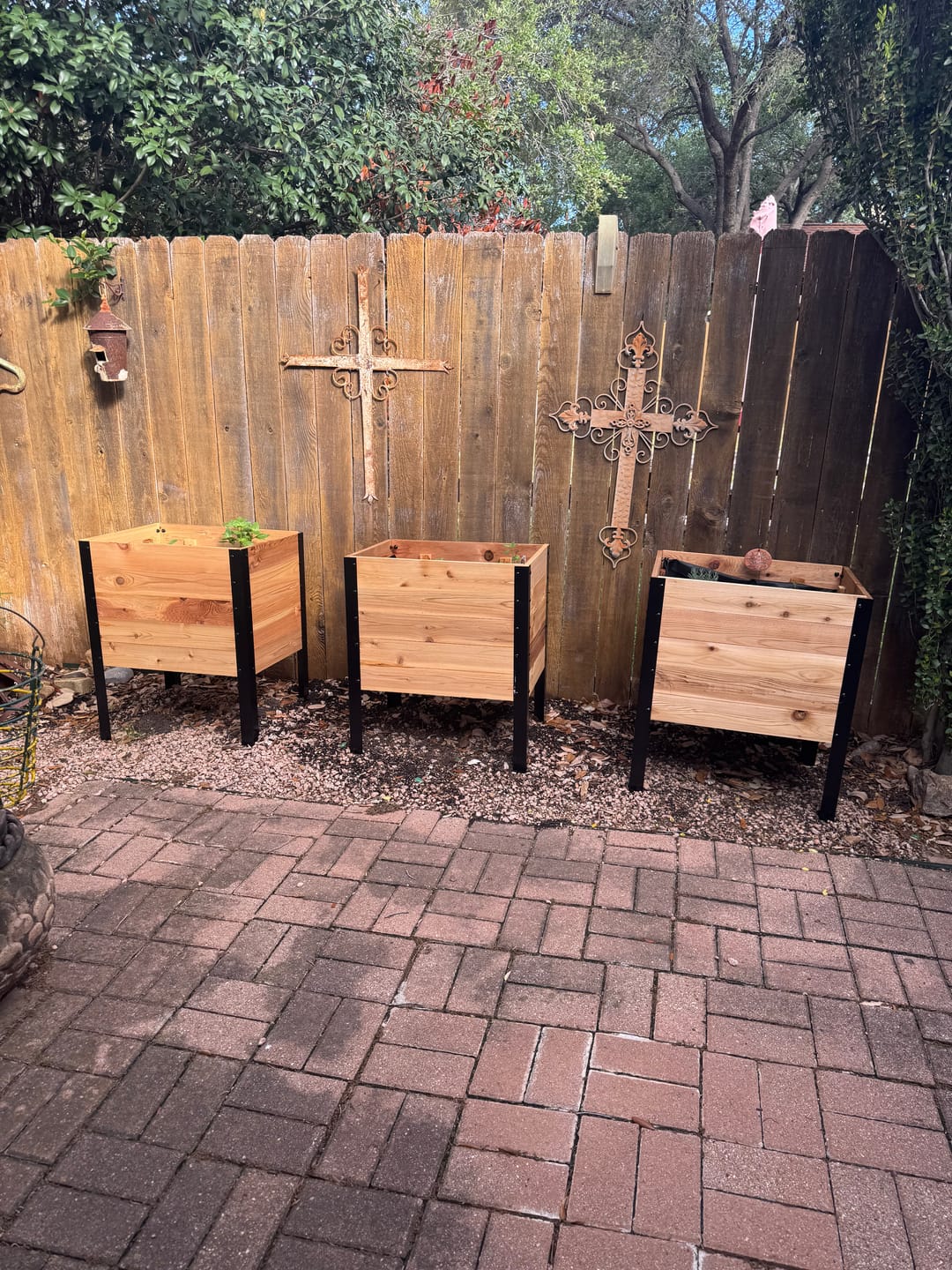 Customer photo review of 18″ x 24″ Raised Garden Bed - 30" TALL / Garden Grade