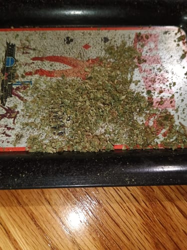 Customer photo review of Tahoe OG - 4 Grams - Indica