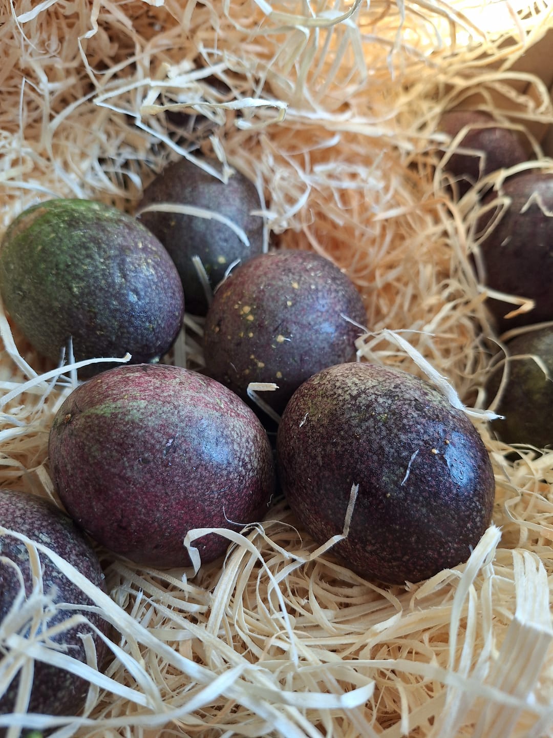 Customer photo review of Passionsfrüchte von Julian Sonderaktion %