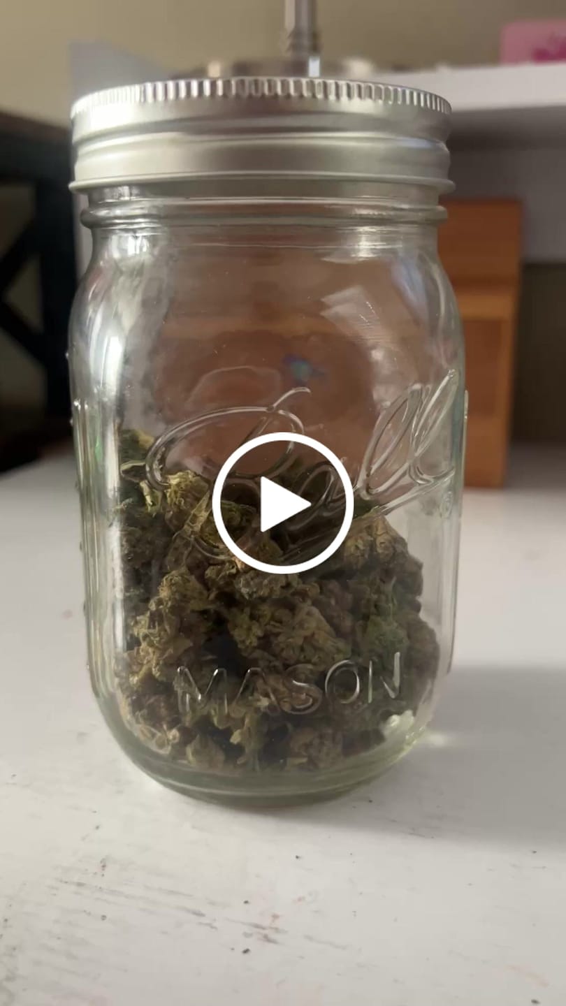 Customer video review of THCa Greenhouse Smalls