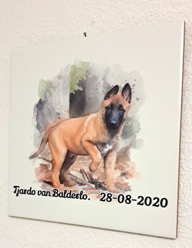 Customer photo review of Droomwassing Aquarel Tegel - Upload je eigen foto