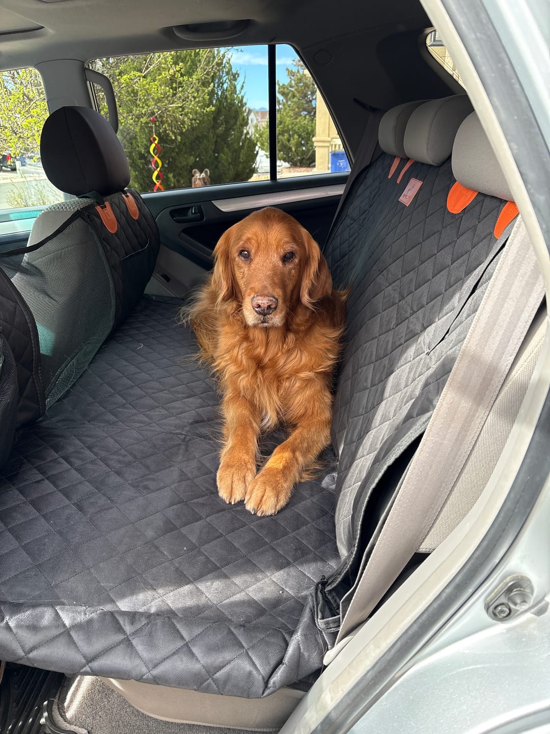 Customer photo review of CozyRider™ 2.0