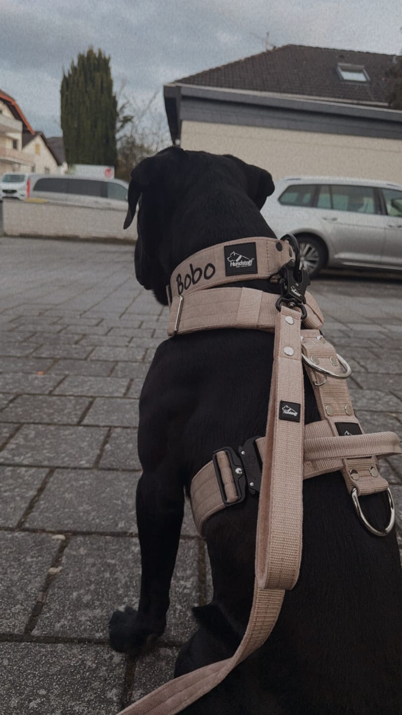 Customer photo review of Guard Leash Beige - Väktarkoppel med extra handtag