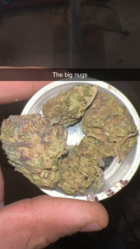 Customer photo review of Bulk THCA Flower Pounds