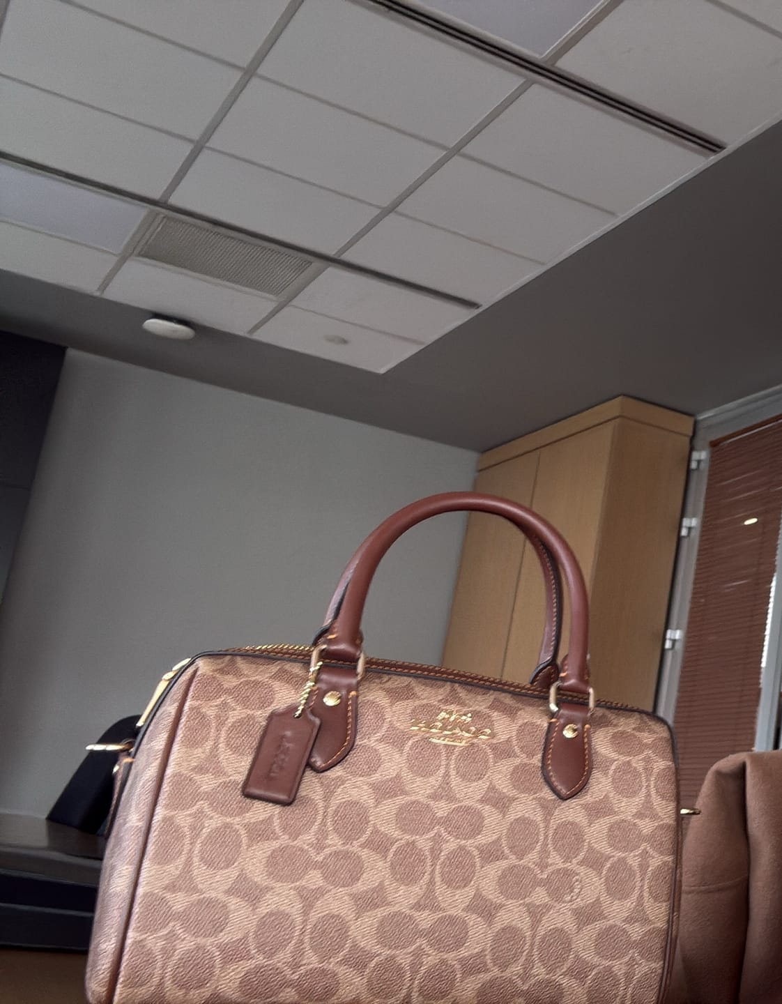 Customer photo review of Coach Rowan Satchel Bag In Signature -  Gold/Tan/Brown
