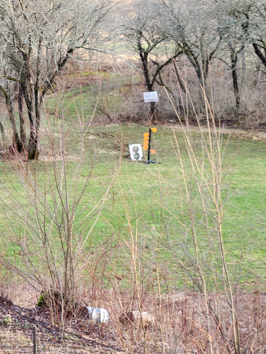 Customer photo review of 6" x 3/8" AR500 Steel Target Dueling Tree Stand