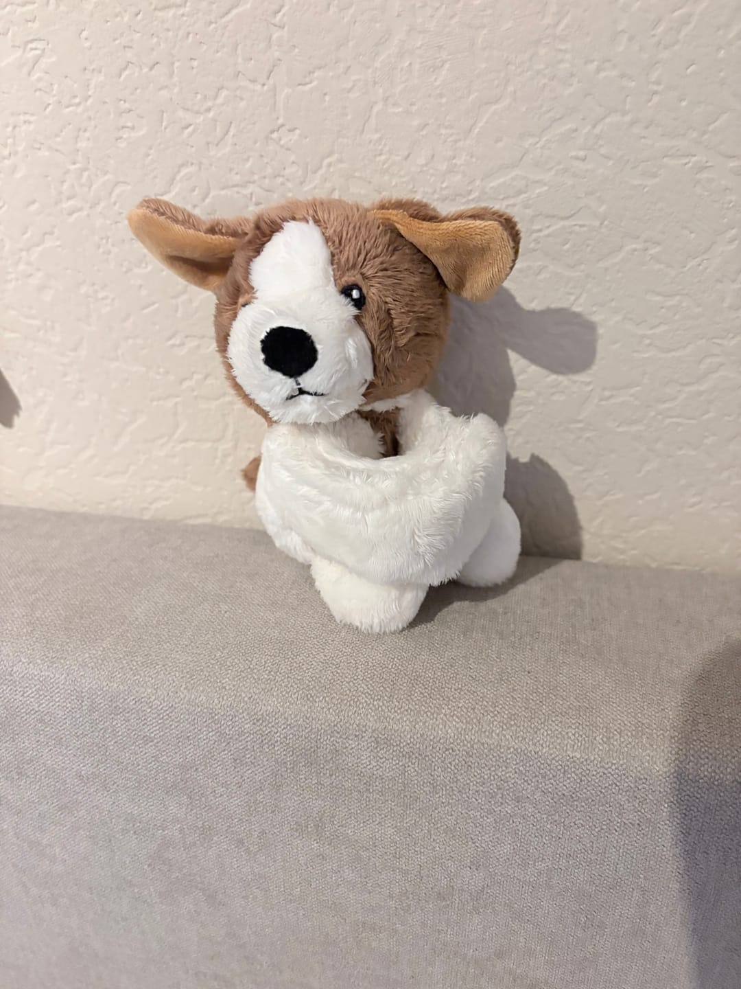 Customer photo review of Mini Lotgenootje Hond