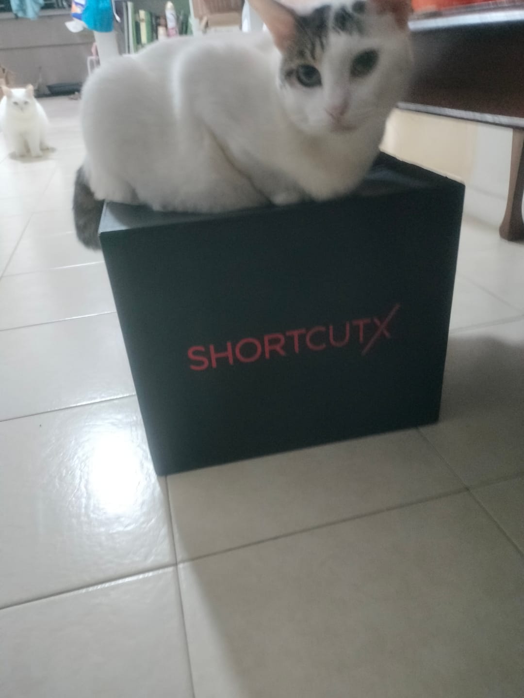Customer photo review of Shortcutx Night Fat Burner Juice