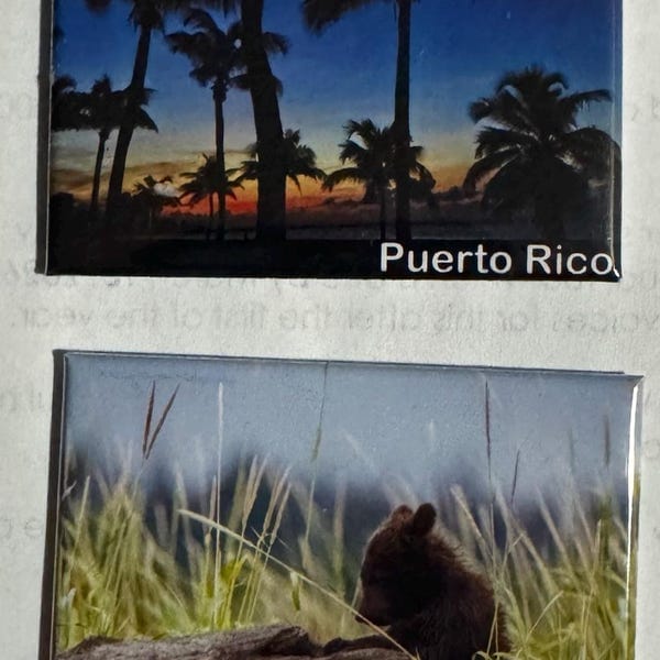 Customer photo review of Save The Date Magnets