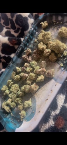 Customer photo review of Blackberry Kush - 28 Grams Littles - Indica