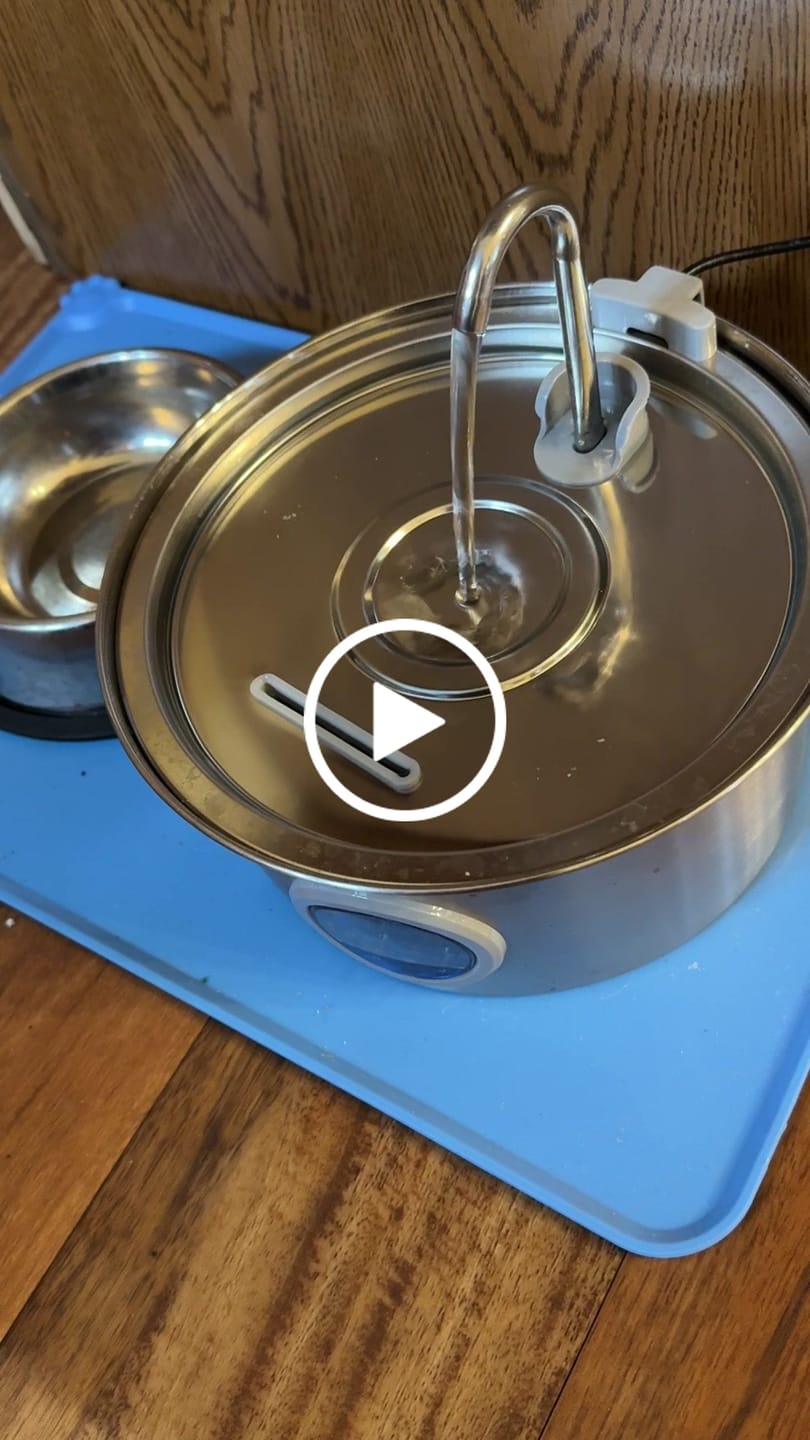 Customer video review of Pawdrate™ Filtered Water Fountain