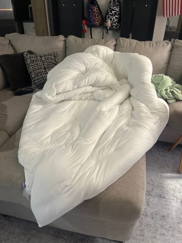 Customer photo review of Shipping Protection