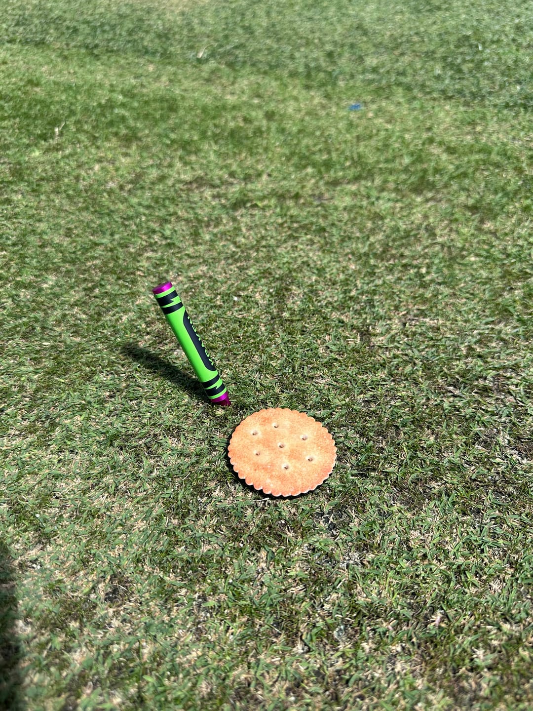 Customer photo review of 🍉 Slice Free Crayon Golf Divot Tool (Melon)