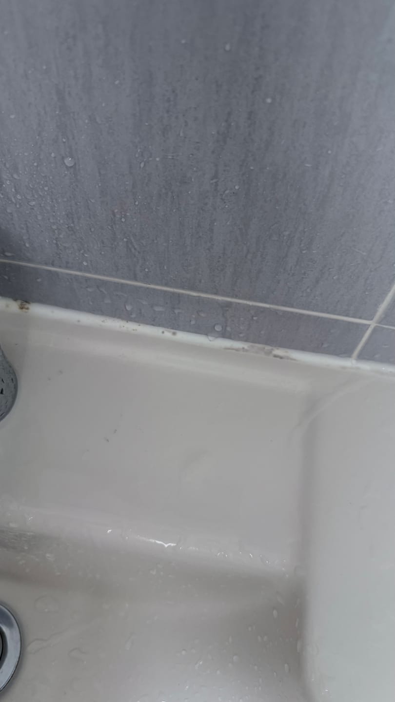 Customer photo review of Mold Remover Gel (1 pcs) | Remove mold & mildew