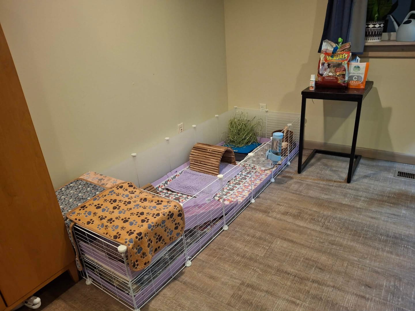 Customer photo review of 6x2 C&C Guinea Pig Cage with Loft