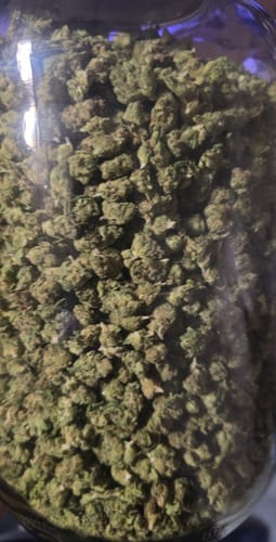 Jager Sour Diesel - Bulk - Sativa photo review