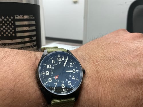 Customer photo review of Overlord (VIP)