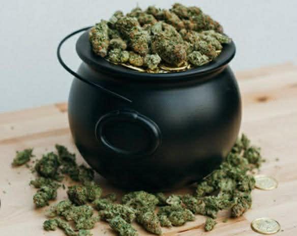 Customer photo review of Platinum Bubba - Bulk - Indica