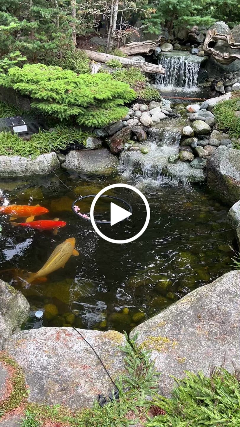 Customer video review of Pond and Rock Cleaner - Hydro Vescense™  For All Types of Ponds and Pondless Water Features
