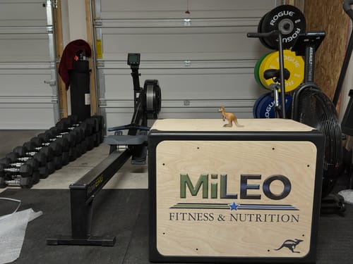 Customer photo review of RooBox Custom