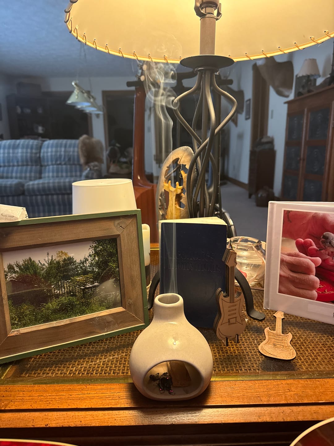 Customer photo review of Palo Santo Smudging Sticks Premium 100 Grams (Approximately 10-15 Sticks)