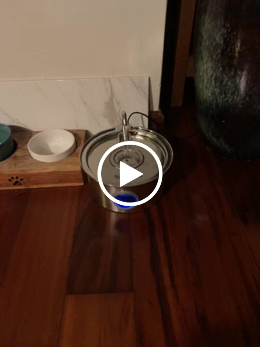 Customer video review of Pawdrate™ Filtered Water Fountain