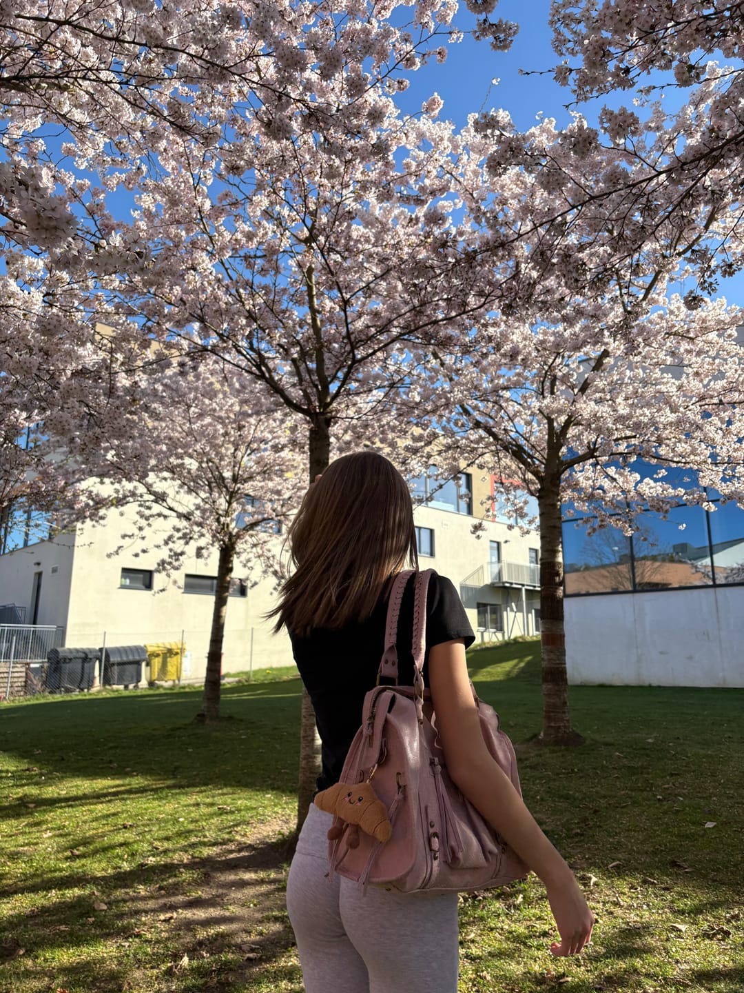 Customer photo review of It girl bag vanilla pink