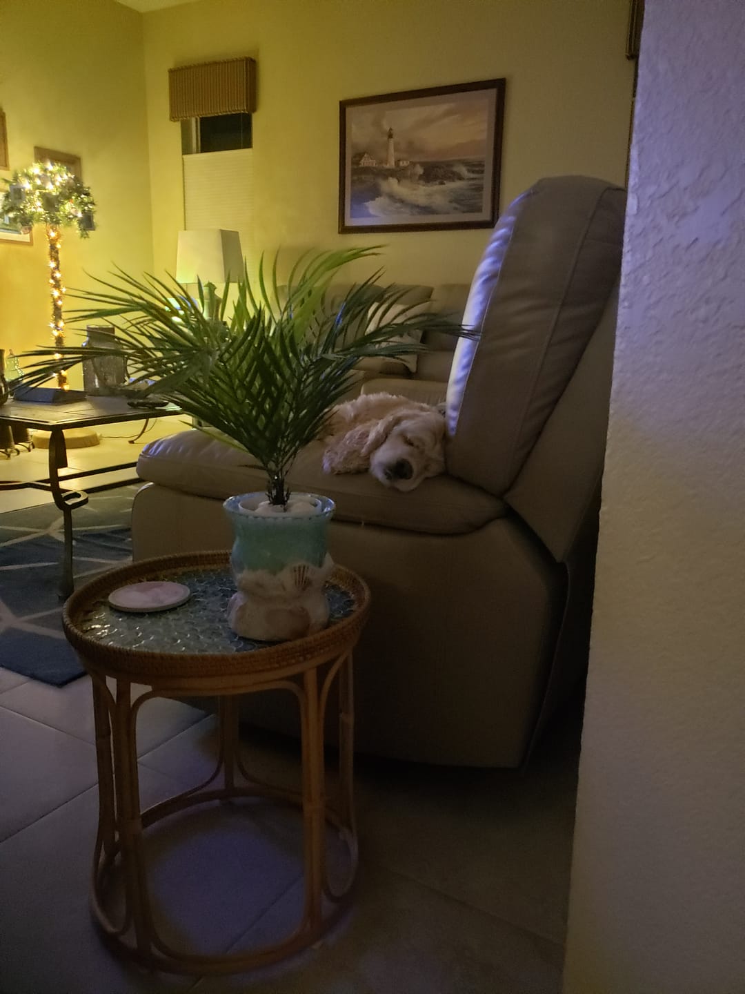 Customer photo review of Sirena Rattan Table