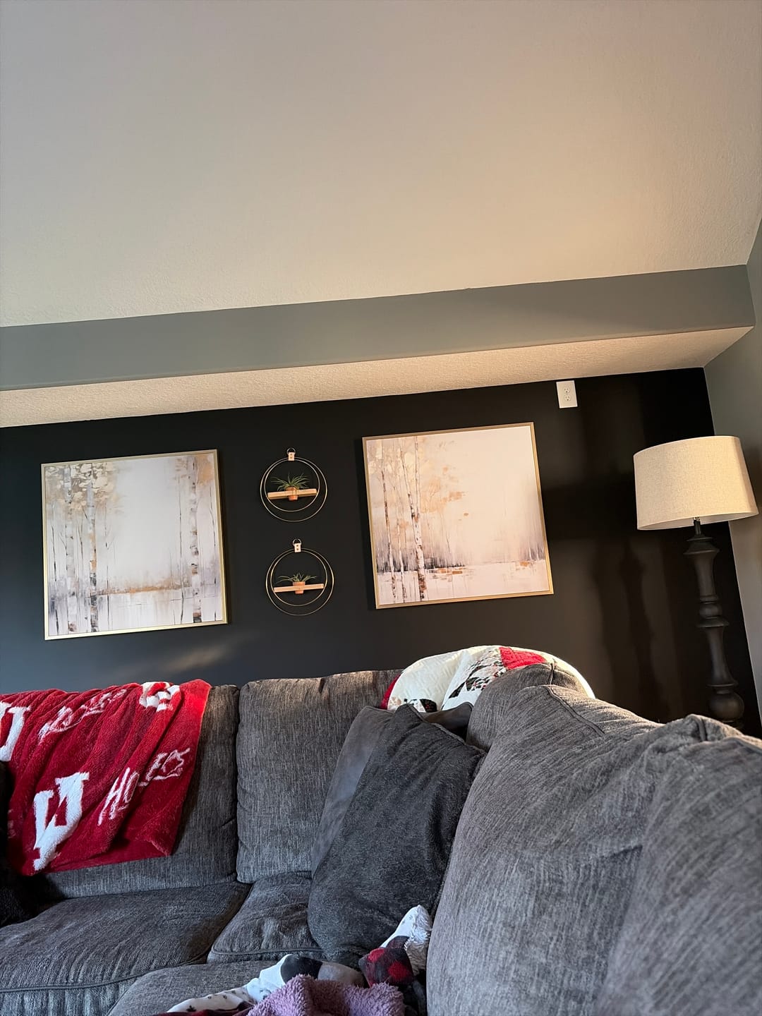 Customer photo review of Air Plant Shelf + Pot Duo