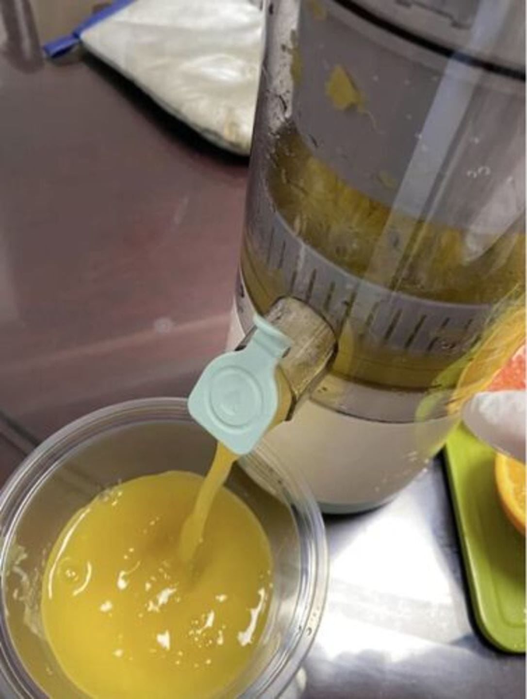 Customer photo review of Prestige™ Automatic 1100W Electric Juicer
