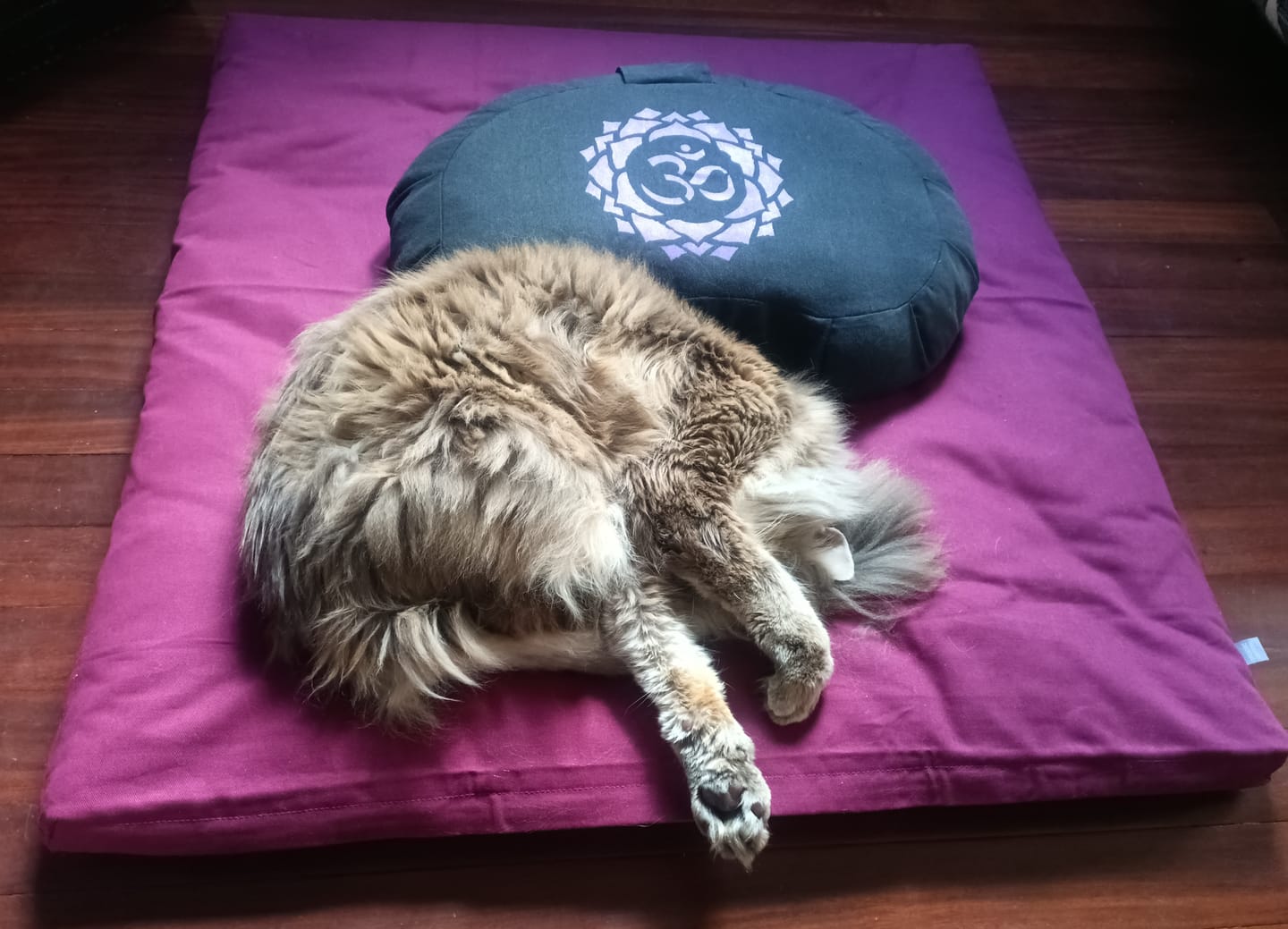 Customer photo review of Zabuton ECO