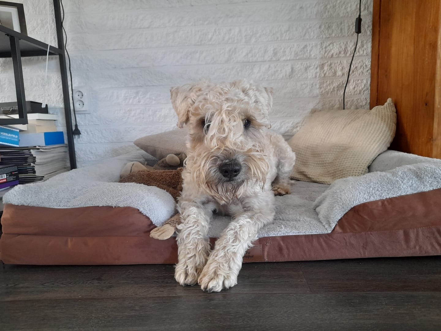 Customer photo review of Pet Perfect Orthopedische Hondenmand - Model 3